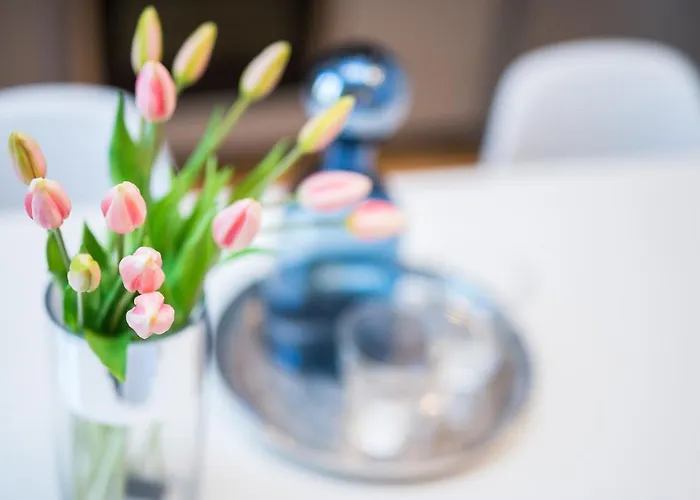 Franco's Spacious - Great Location * Split